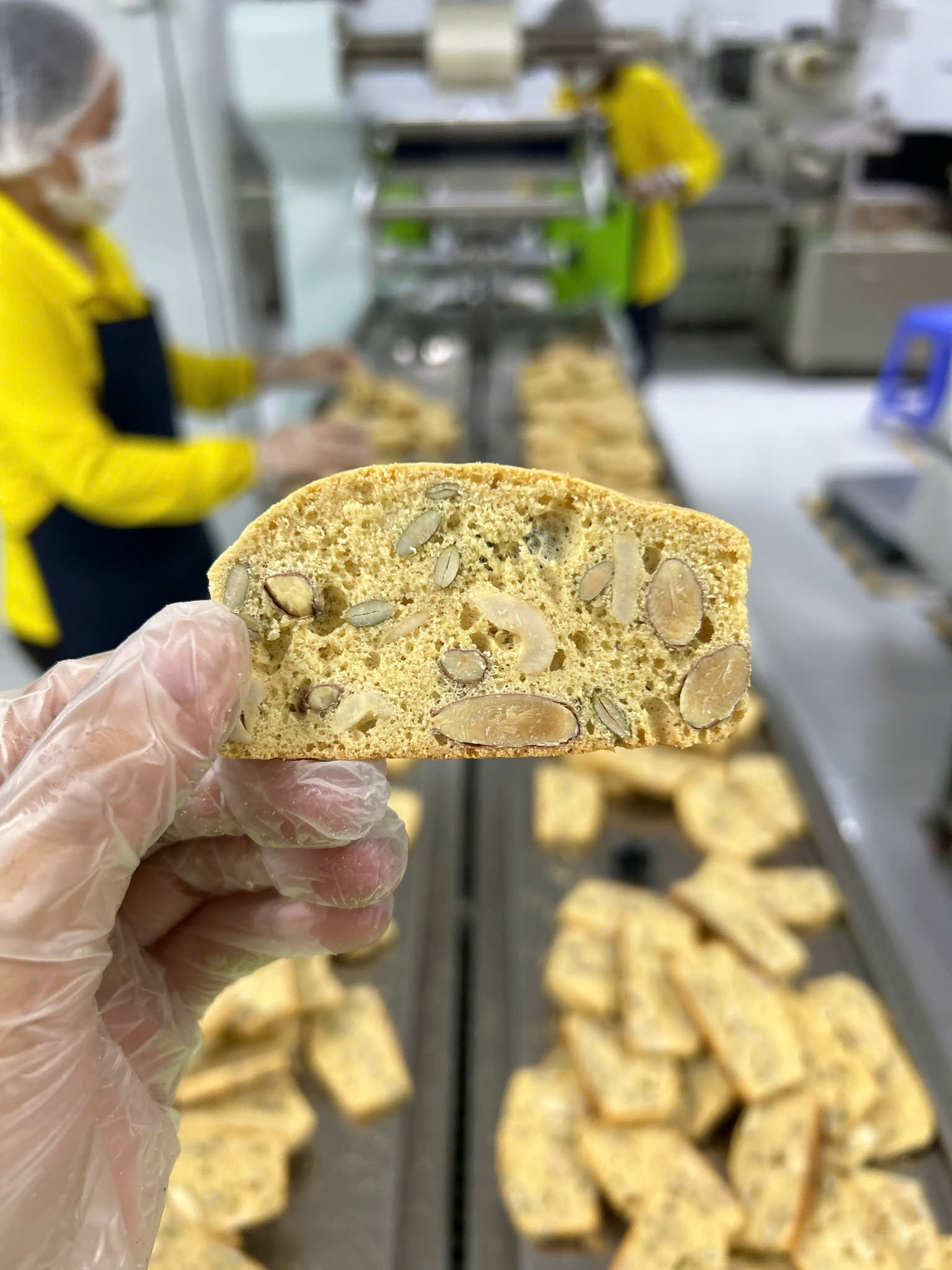 Bánh biscotti nguyên cám yến mạch mix 3 vị – giòn thơm vị hạt, tiện dùng bữa phụ | Xanh Organic | 180g – 240g — ảnh 8